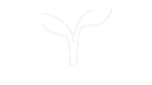 Green Solutions Ag Ltd